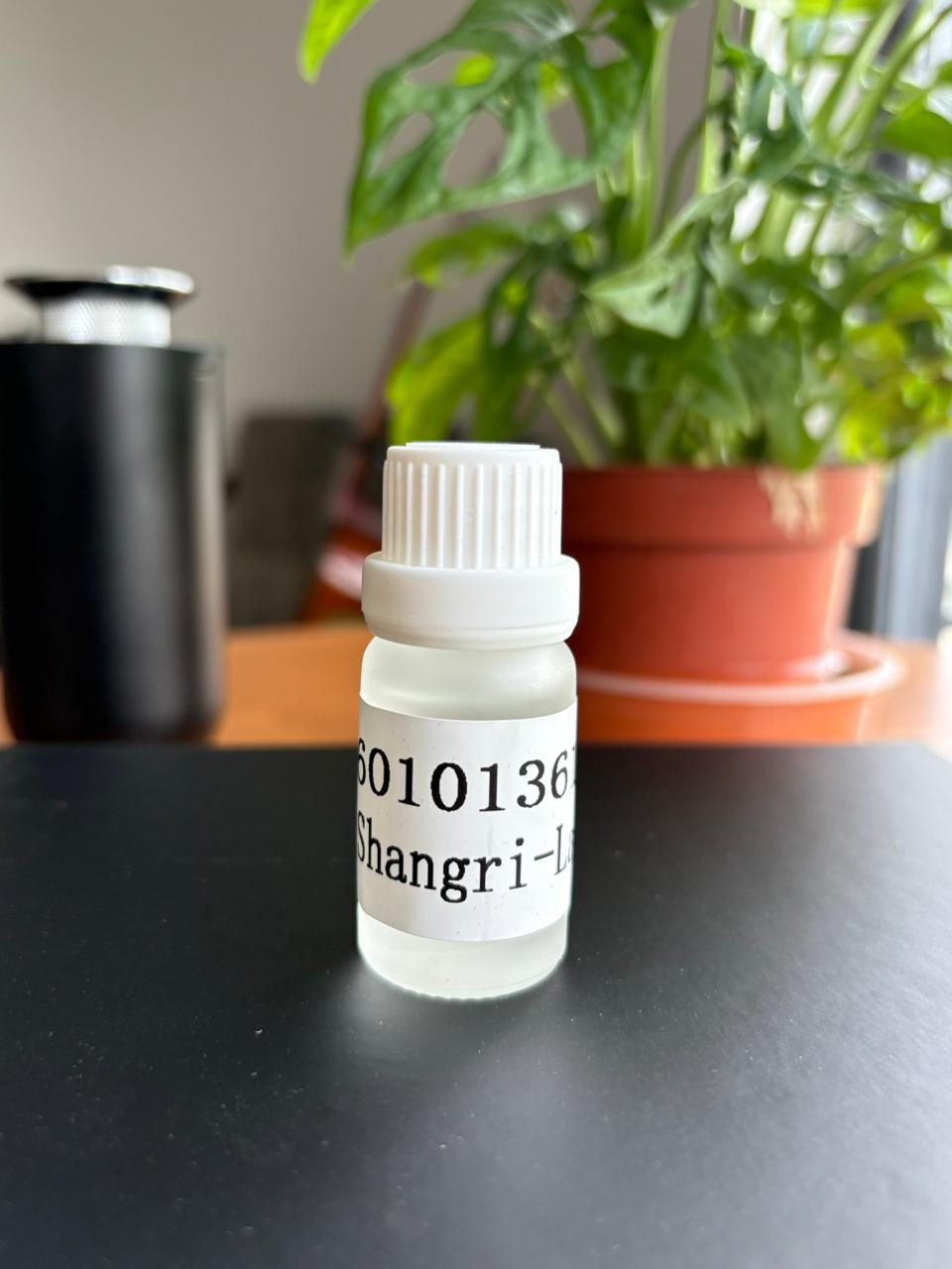 Scent Oils Set (10pcs 10ml each)